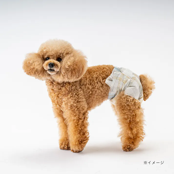 マナーデザインウェア テープタイプ Sサイズ 20枚入