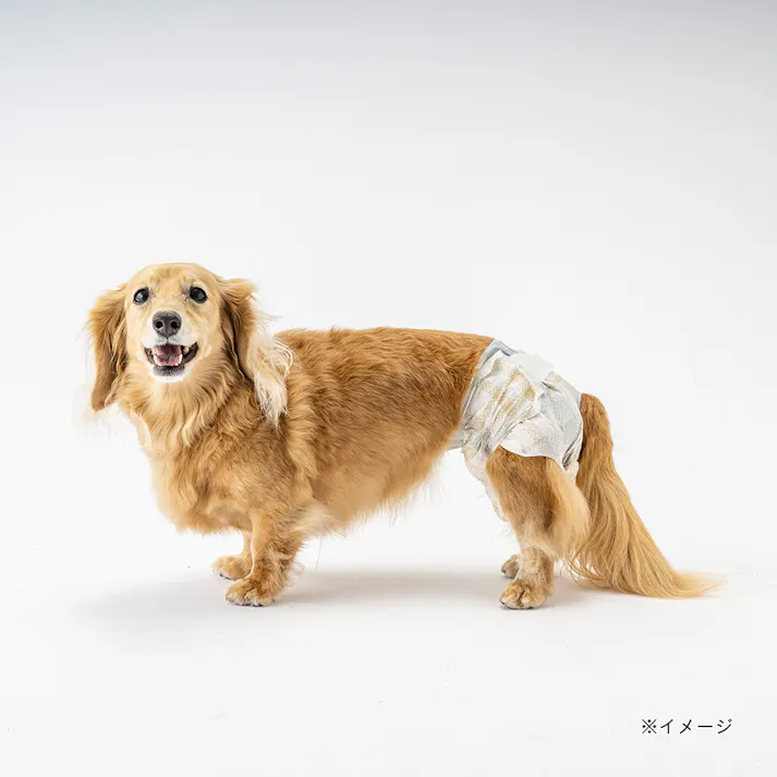 マナーデザインウェア テープタイプ Sサイズ 20枚入