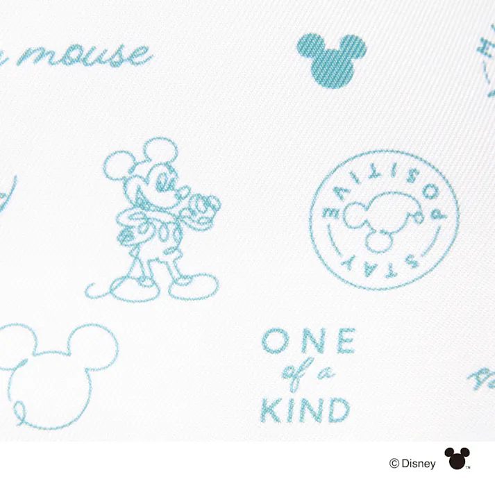 カインズ ディズニー クーラーバッグ ミッキーマウス