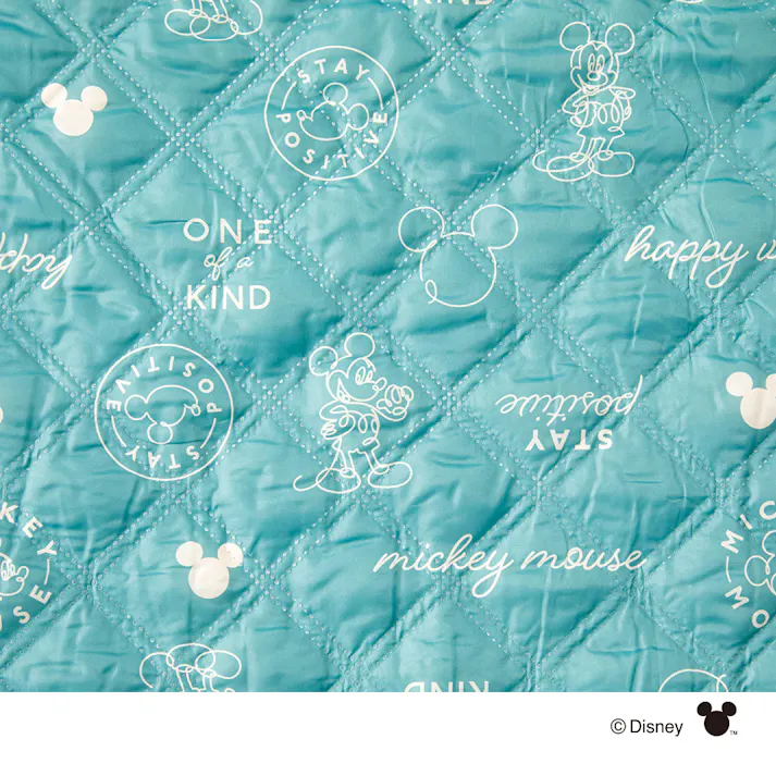 カインズ ディズニー レジャーシート ミッキーマウス