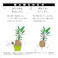 観葉植物の土 8.4L