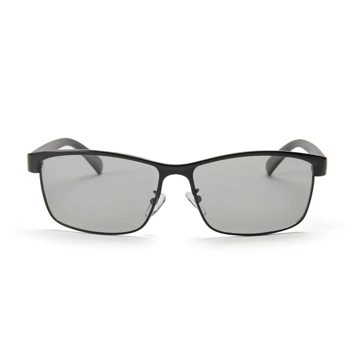 カインズ 偏光ファッショングラス CZ-EMPH 2542-1