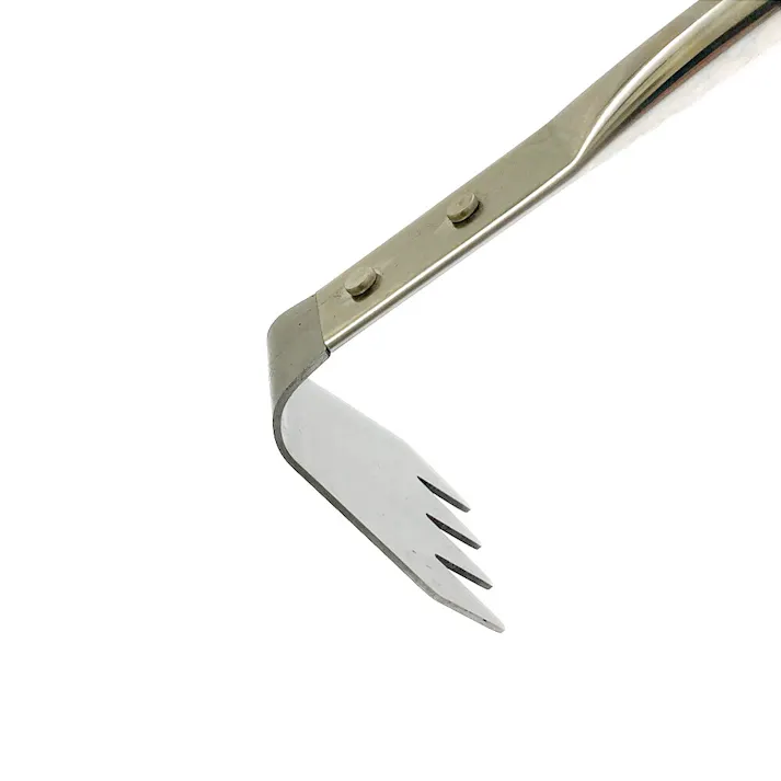 立ったまま根から除草 ステンレス片手草取り爪