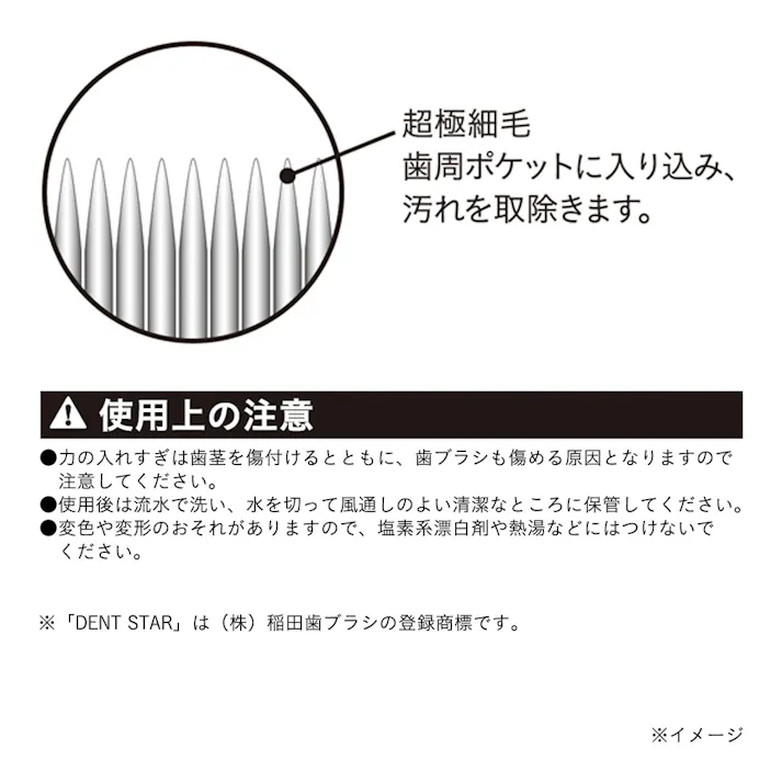 カインズ デントスター 超極細毛 コンパクト ふつう