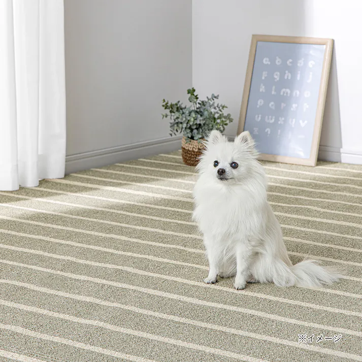 ペットと過ごしやすい綿混カーペット グリーン 1畳