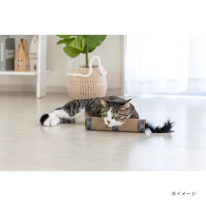 ネコケリおもちゃカードボード ポール ブラック