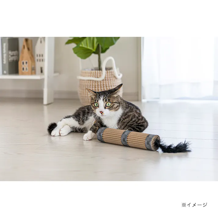 ネコケリおもちゃカードボード ポール ブラック