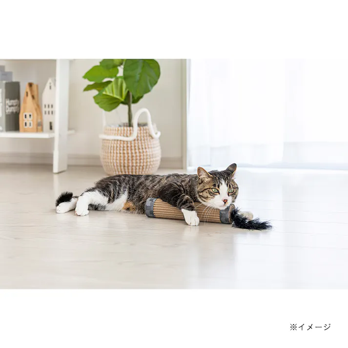 ネコケリおもちゃカードボード ポール ブラック