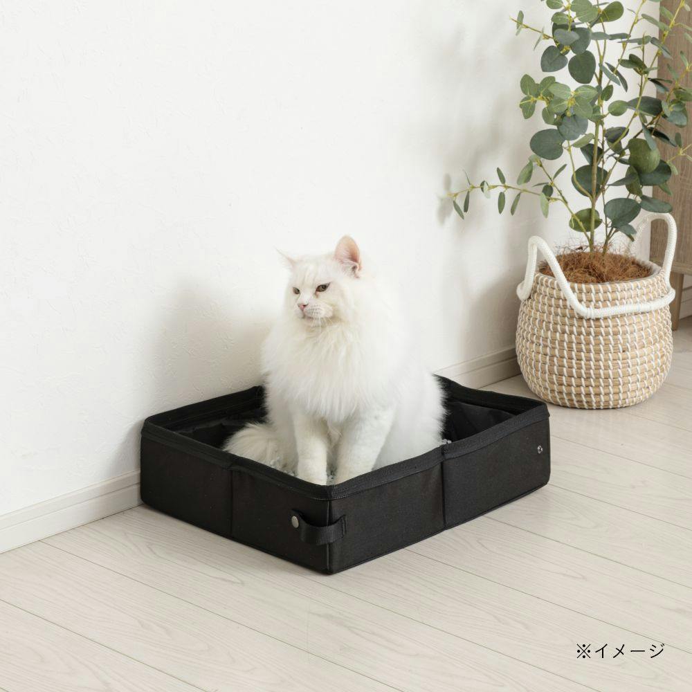 かげねこさん専用 猫のぬいぐるみ Scratchスクラッチ MSサイズ 米田民穂 黒猫