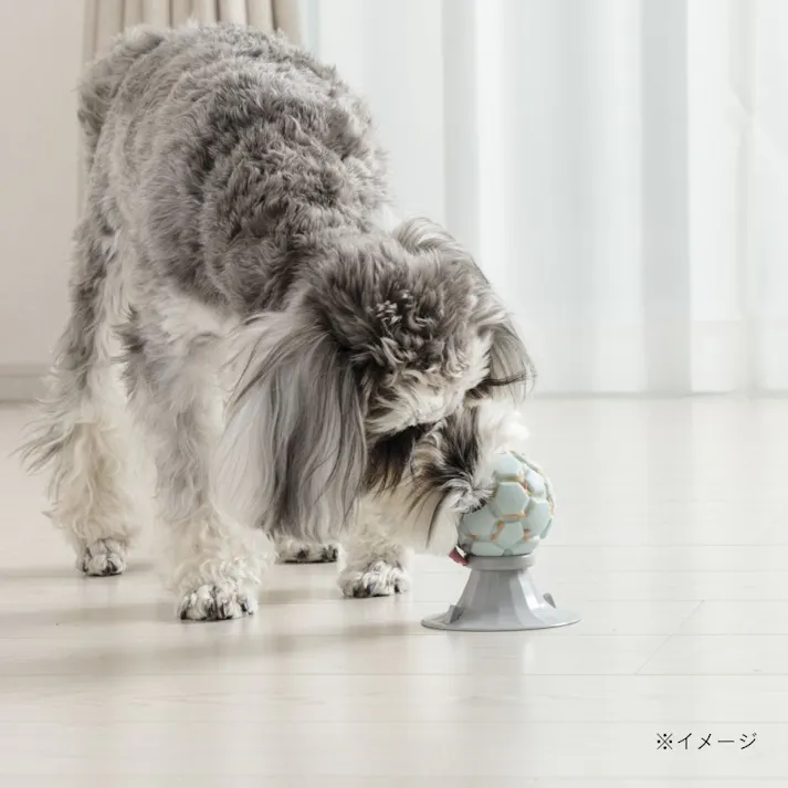 リッキングトイ ボ一ル