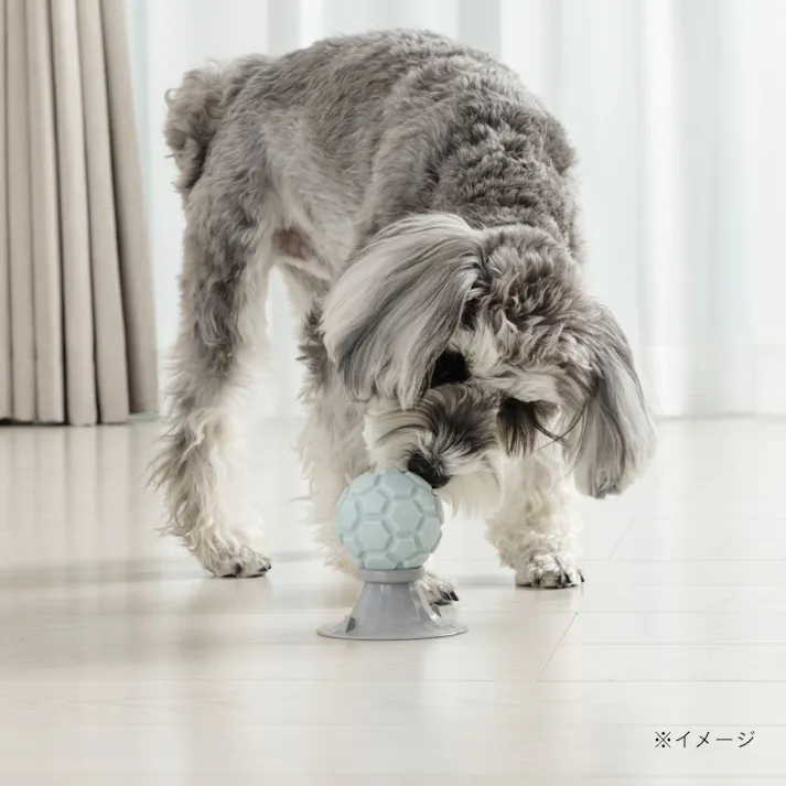 リッキングトイ ボ一ル