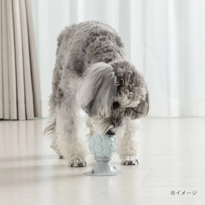 リッキングトイ ボ一ル