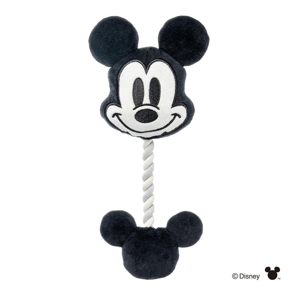 ディズニー デンタルおもちゃ ミッキーマウス