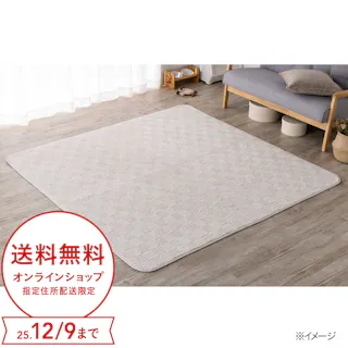 保温性のあるラグ Pitapa トイプー 幅185cm 奥行185cm