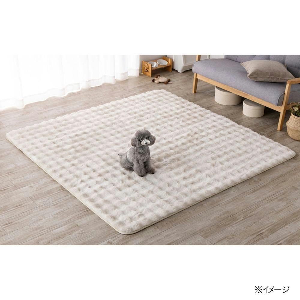 保温性のあるラグ Pitapa シロクマ 幅190cm 奥行240cm | ラグ