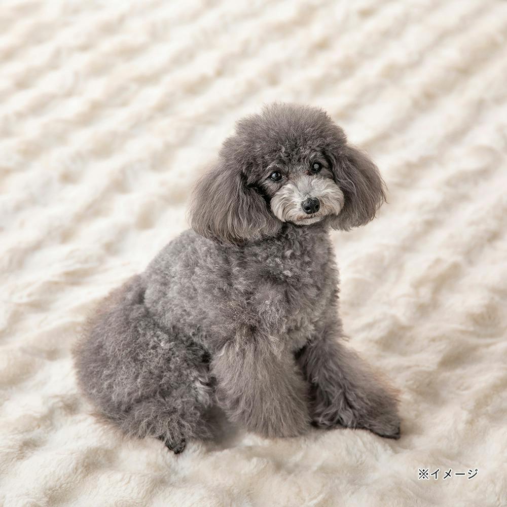 白熊　ラグ 白熊 ラグ - メルカリ