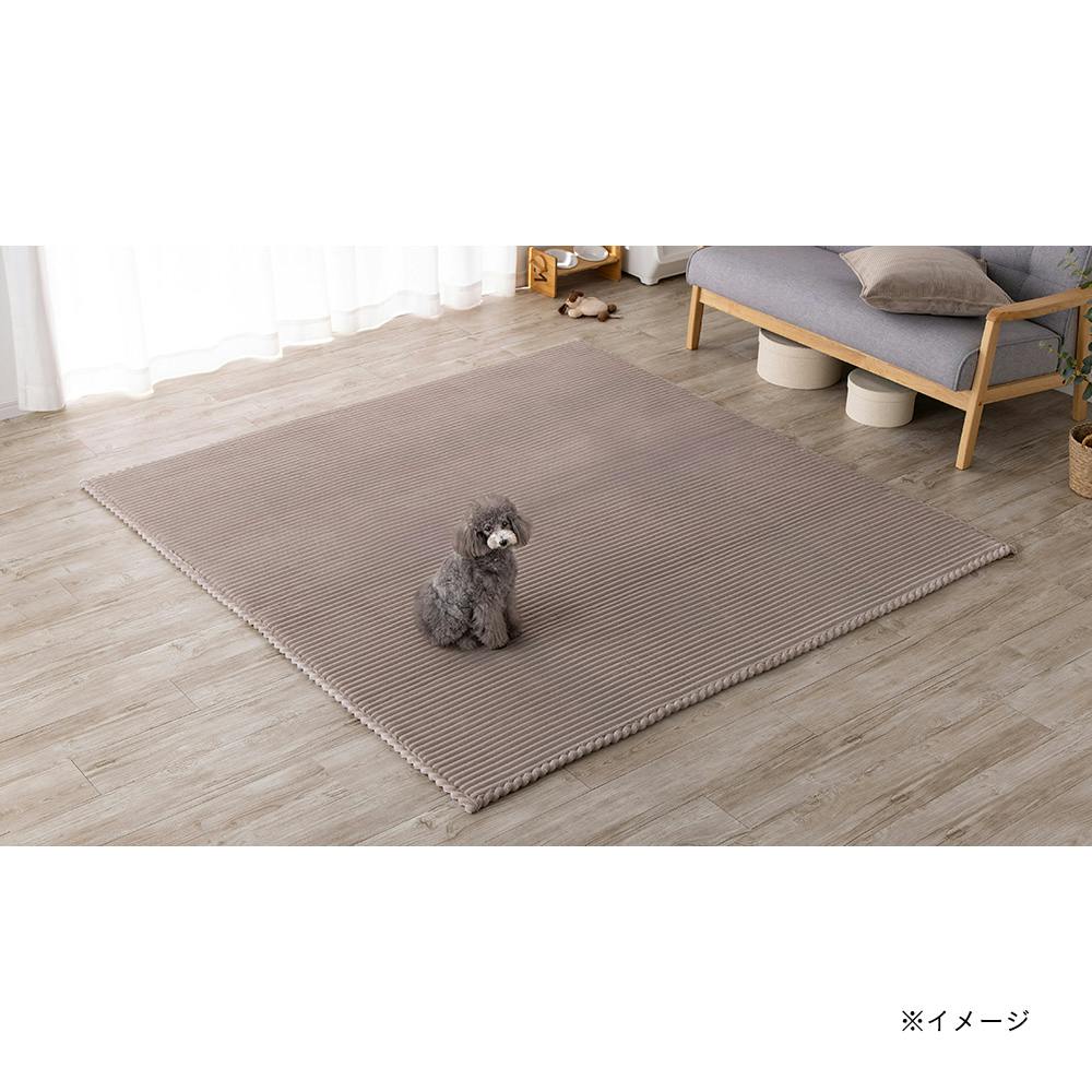 【値下げ】ラグ⭐︎カーペット⭐︎キャンプシート2枚セット レジャーシート2畳 カーキ | 業務用・行楽用品 通販