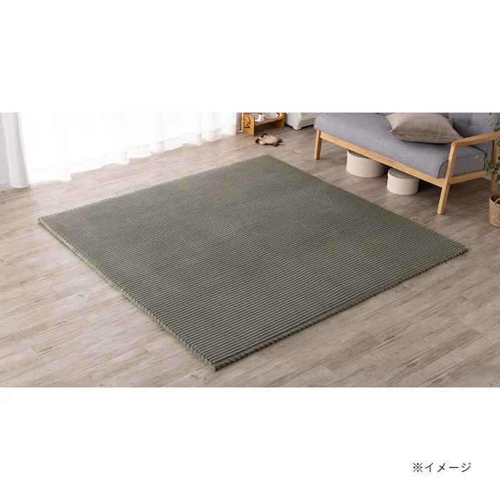 &Pet洗えるクッションラグ グリーン 幅200cm 奥行240cm