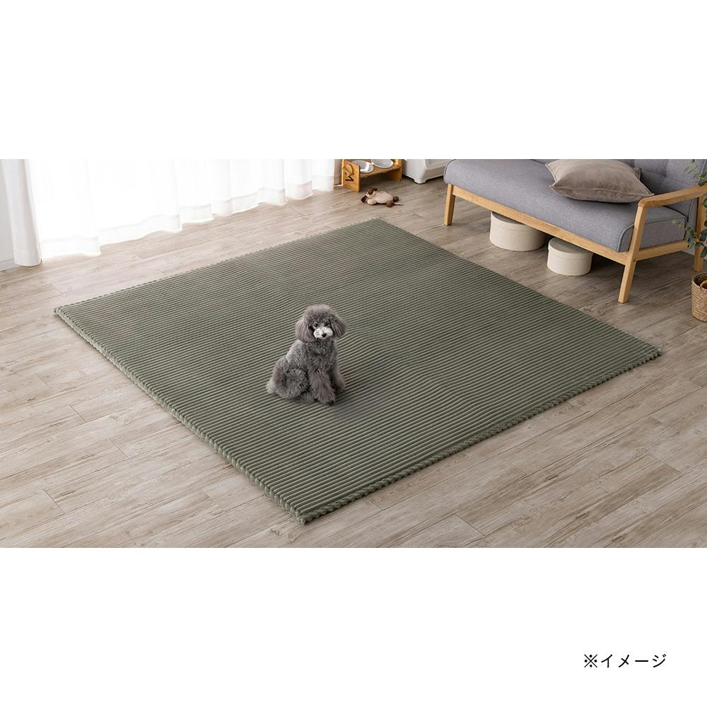 同色2点 定価11960 洗えるラグ 200cm×240cm 同色2点 定価11960