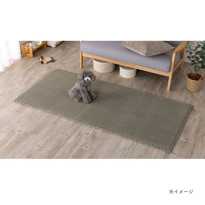 &Pet洗えるクッションラグ グリーン 幅80cm 奥行180cm