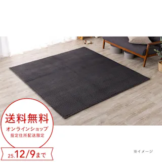 &Pet洗えるクッションラグ ブラック 幅185cm 奥行185cm