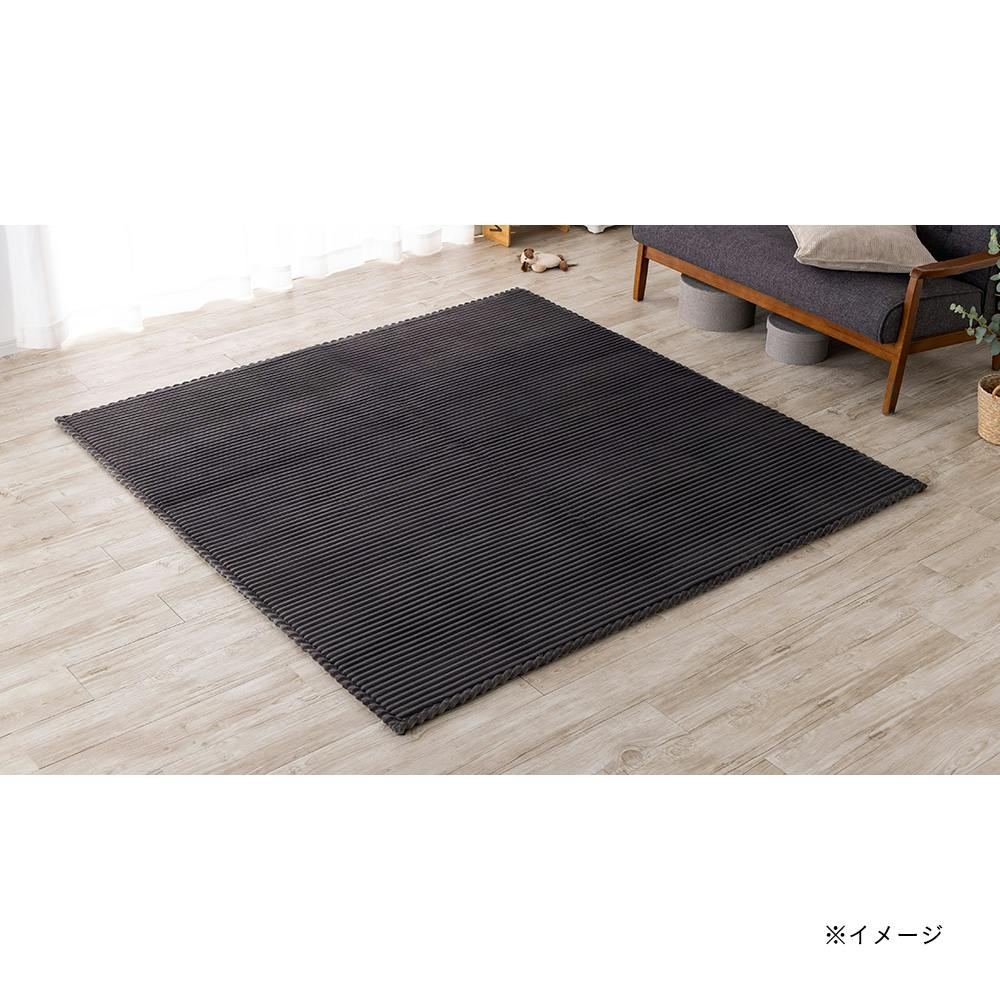 &Pet洗えるクッションラグ ブラック 200×240cm 約3帖用 ラグ &Pet洗えるクッションラグ ブラック 200×240cm 約3帖用 ラグ