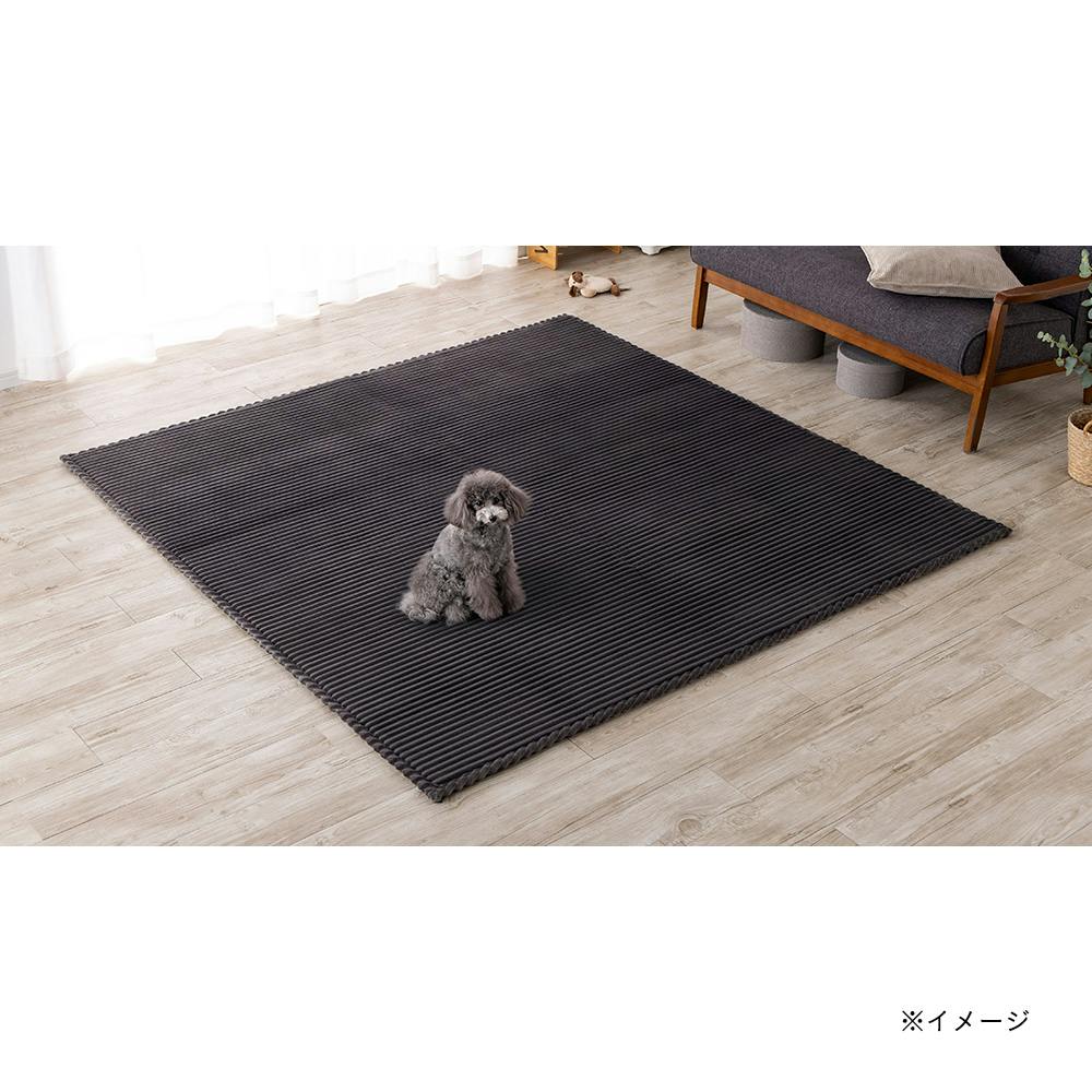 KIZM PLANETUS RUG ラグ KIZM PLANETUS RUG ラグ KIZM PLANETUS RUG ラグ KIZM PLANETUS RUG ラグ