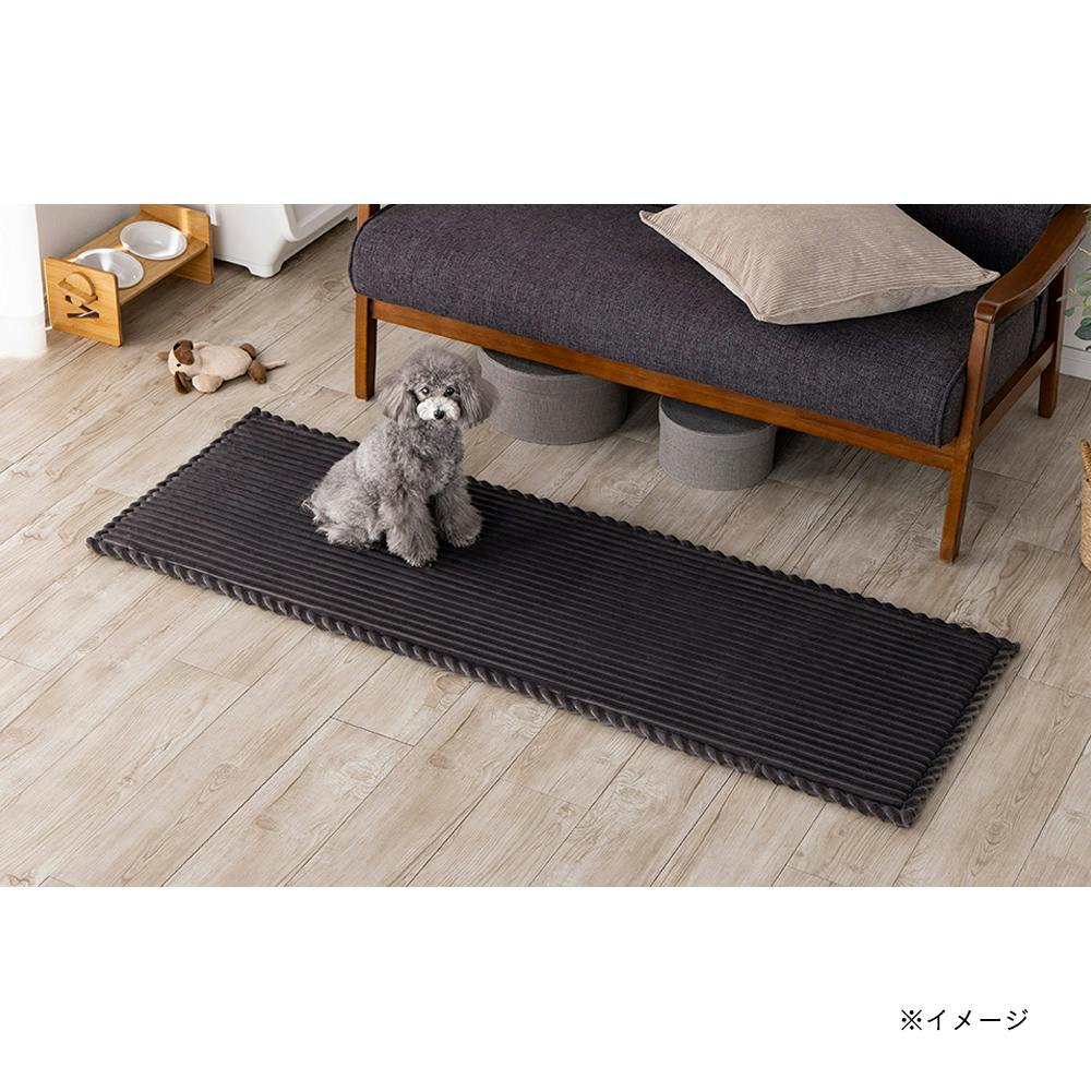 ＆Pet洗えるクッションラグ ブラック 幅50cm 奥行150cm | ラグ