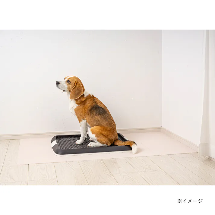 ペット用消臭吸着マット 9枚組 幅30cm 奥行30cm アイボリー