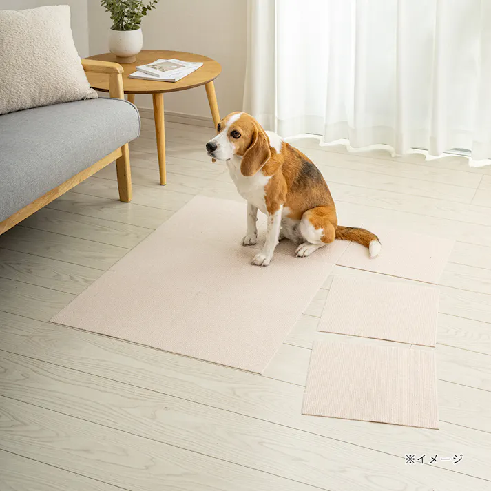 ペット用消臭吸着マット 9枚組 幅30cm 奥行30cm アイボリー