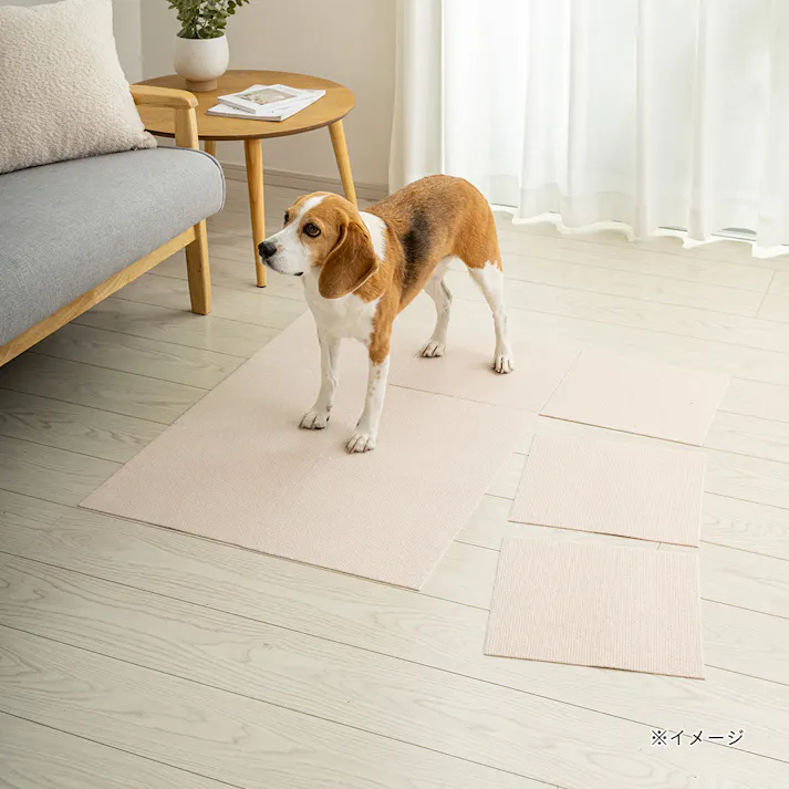 ペット用消臭吸着マット 9枚組 幅30cm 奥行30cm アイボリー