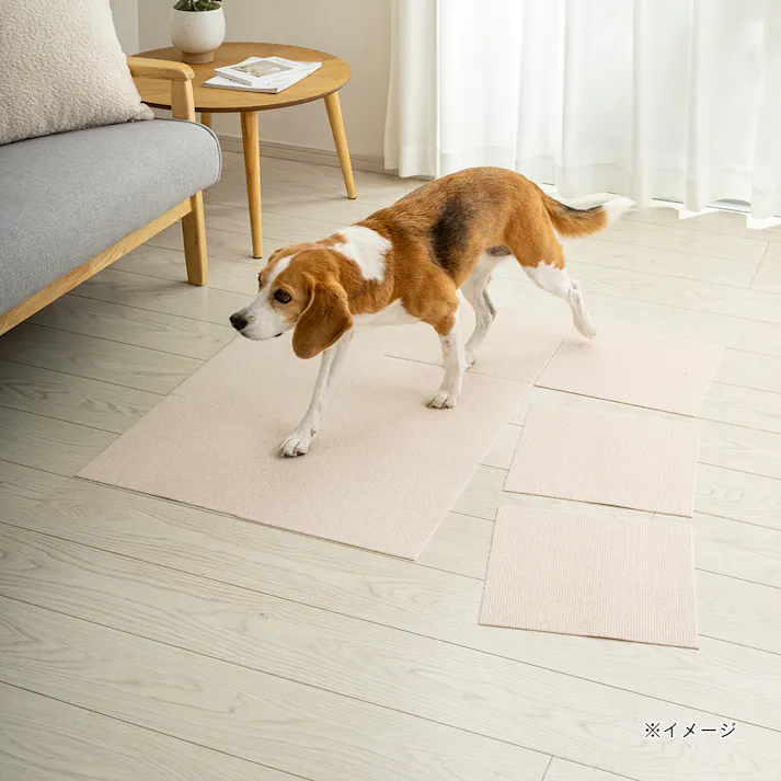 ペット用消臭吸着マット 9枚組 幅30cm 奥行30cm アイボリー