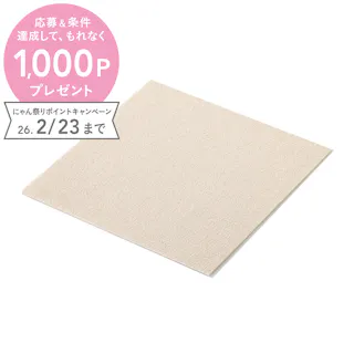 ペット用消臭吸着マット 4枚組 幅45cm 奥行45cm アイボリー