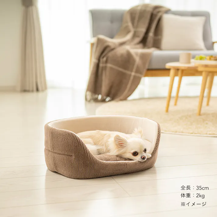 犬猫兼用 丸型ベッド Mサイズ ストライプモカ