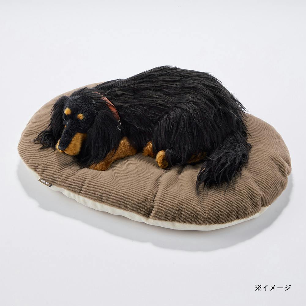 犬猫兼用 クッション LLサイズ ストライプモカ | ペットベッド・ペット