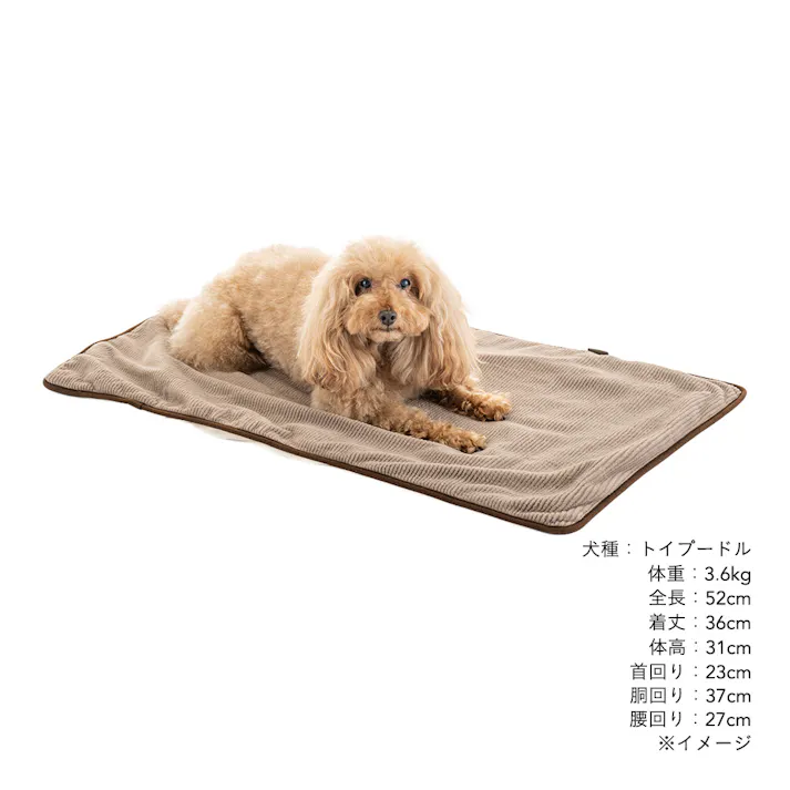犬猫兼用 ブランケット Mサイズ ストライプモカ