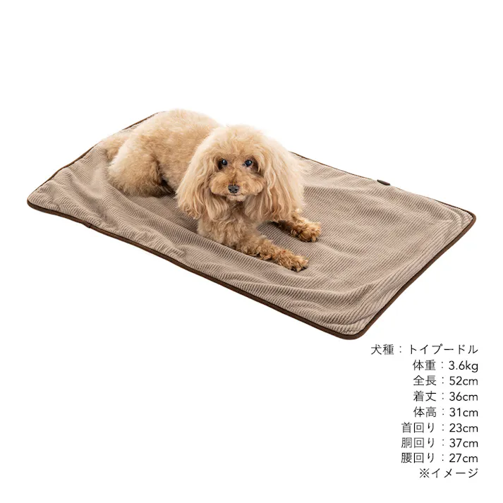 犬猫兼用 ブランケット Mサイズ ストライプモカ