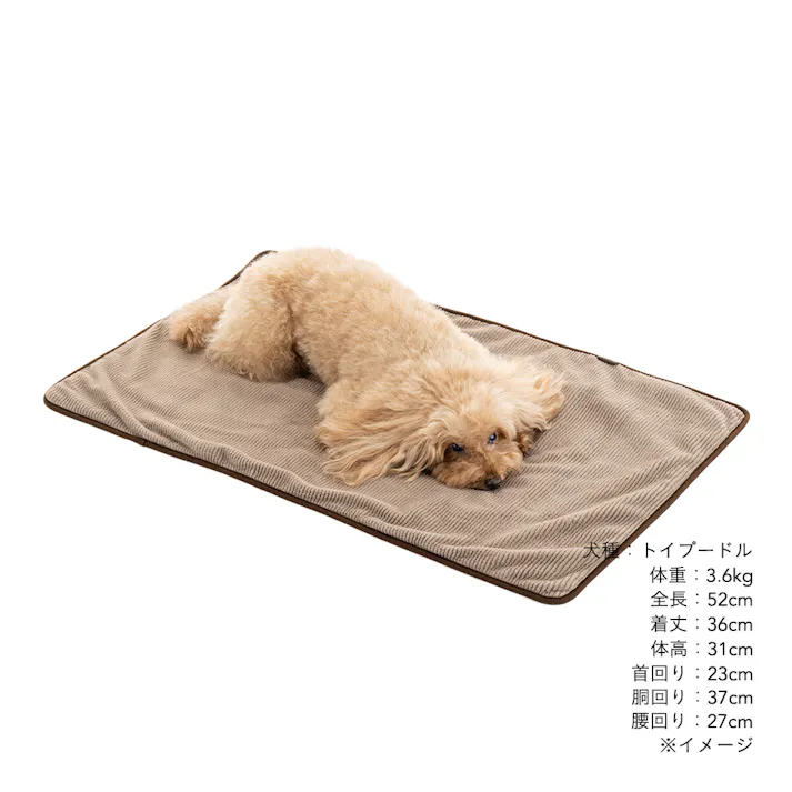 犬猫兼用 ブランケット Mサイズ ストライプモカ