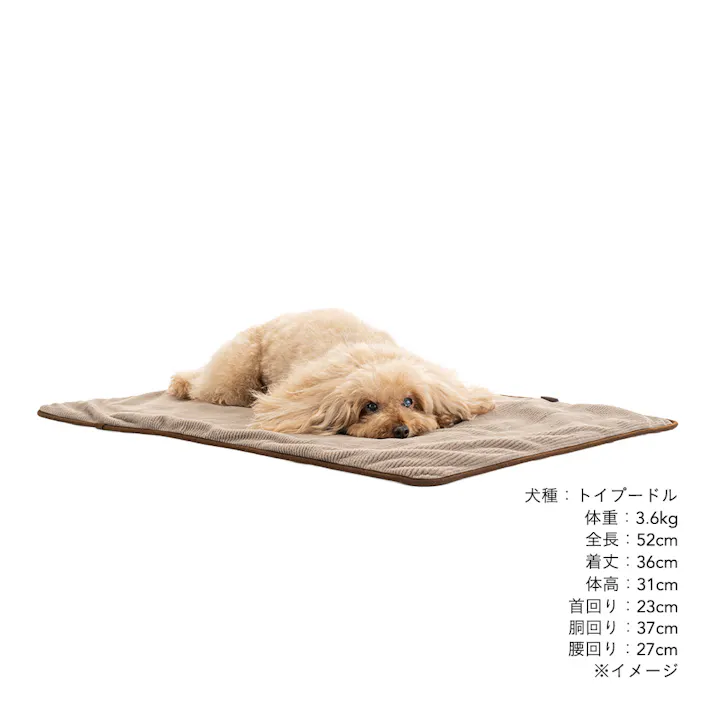 犬猫兼用 ブランケット Mサイズ ストライプモカ
