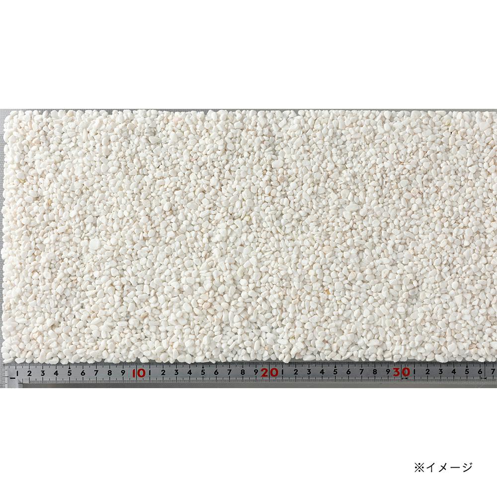 ꂢɂ[ICg荻 zCg 1kg pCeAEꍻ
