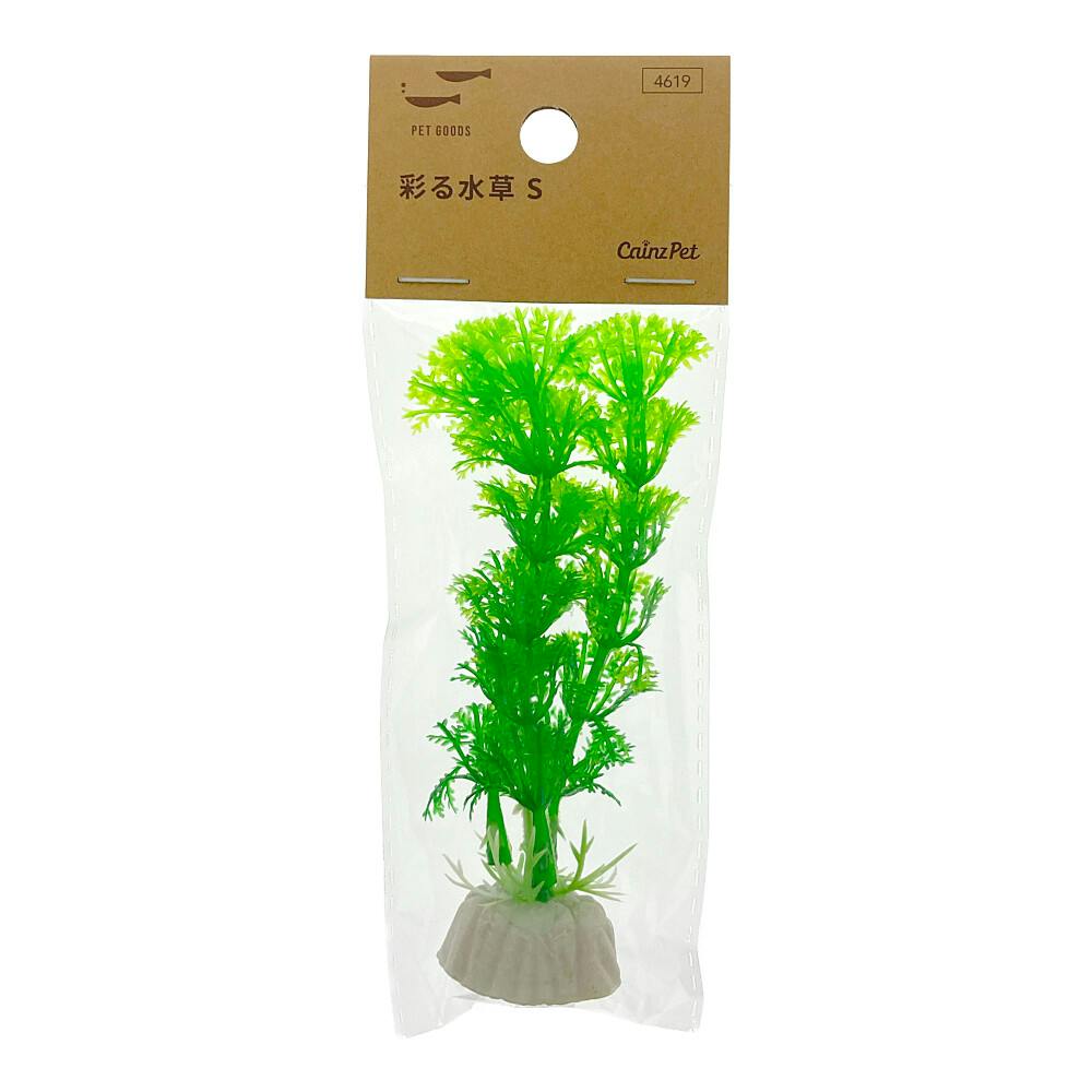 ☆atsupapa☆様 リクエスト 4点 まとめ商品　水草 楽天市場】（水草）おまかせ水上葉 レイアウトセット 20cm水槽用