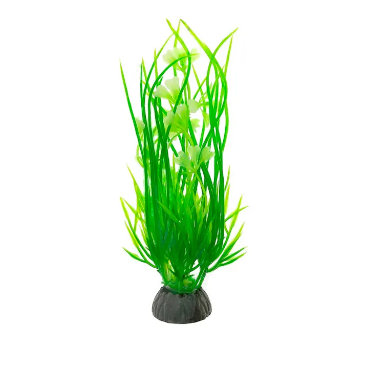 彩る水草 S M-06