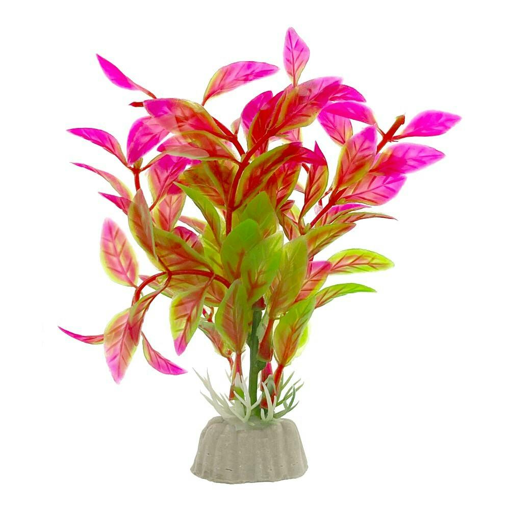 彩る水草 M T-03 | 水中生物用品・水槽用品 通販 | ホームセンターの