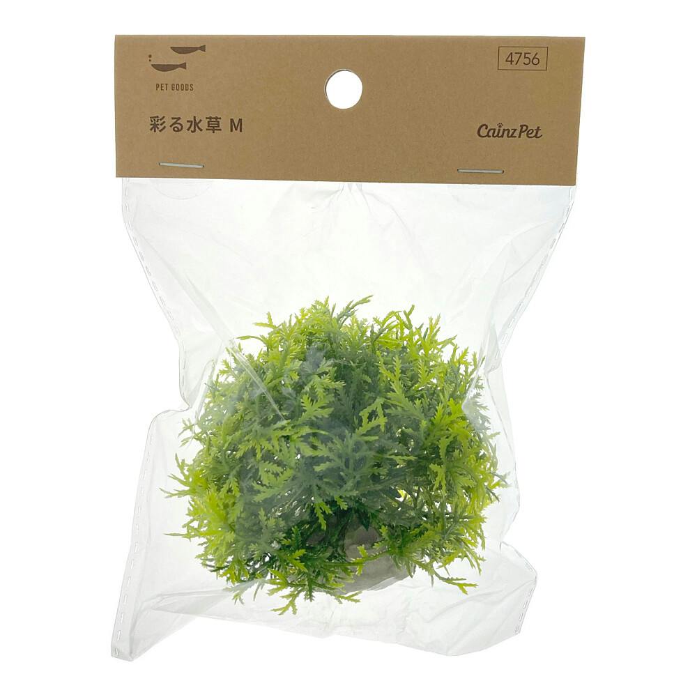 彩る水草 M T-06 | 水中生物用品・水槽用品 通販 | ホームセンターの