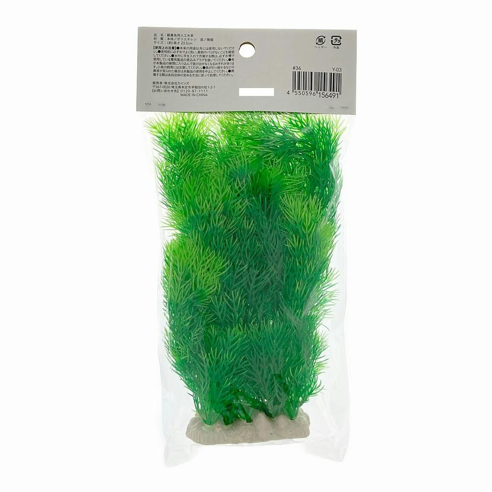 新鮮な水草 手のひらサイズ 彩る水草 L Y-03 | 水中生物用品・水槽用品 通販 | ホームセンターの