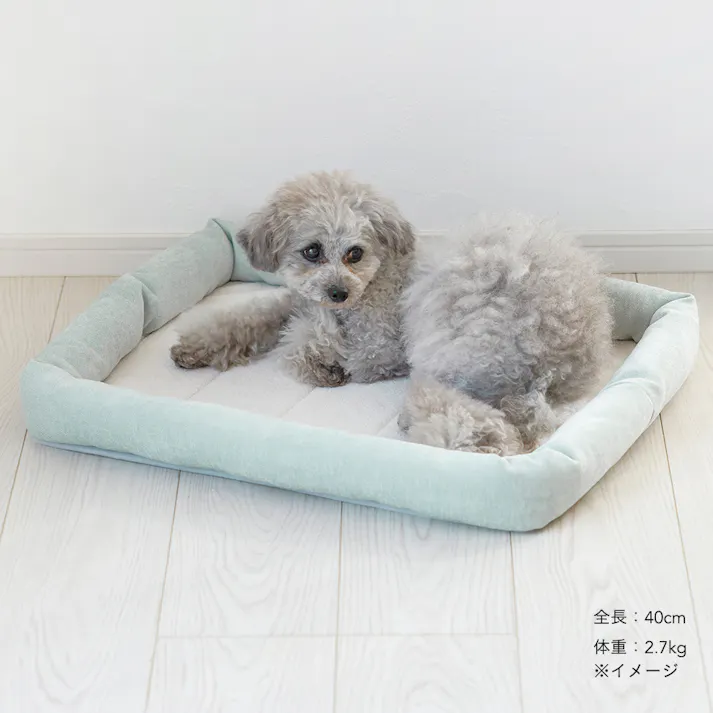 クッションマット Mサイズ シュニールミントグリーン