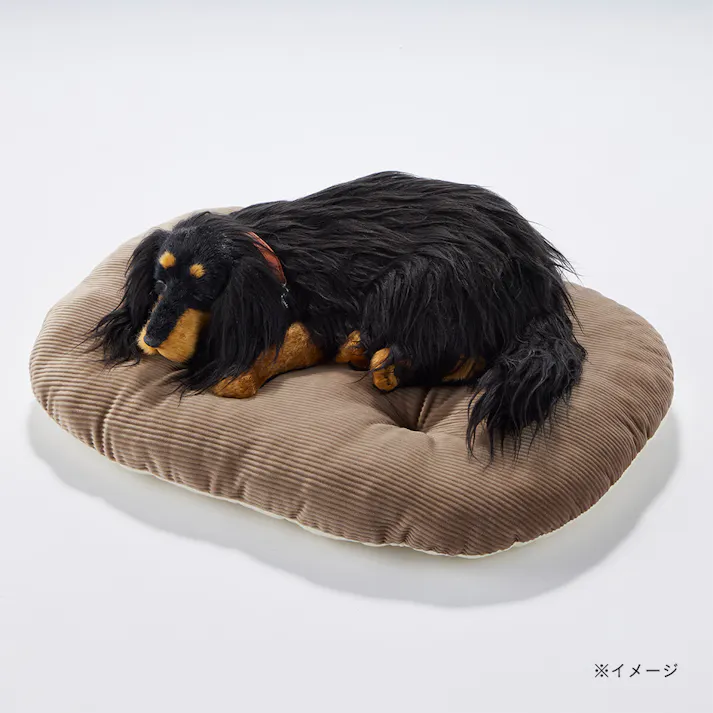 肌にやさしいうるふわクッション LLサイズ ブラウン