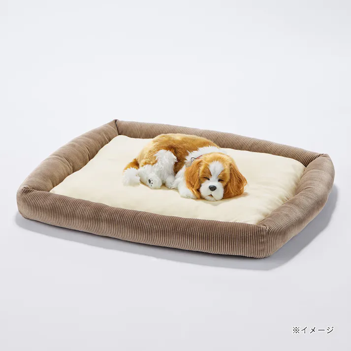 肌にやさしいうるふわクッションベッド Mサイズ ブラウン