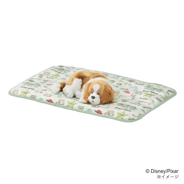 ブランケット Sサイズ トイ・ストーリー