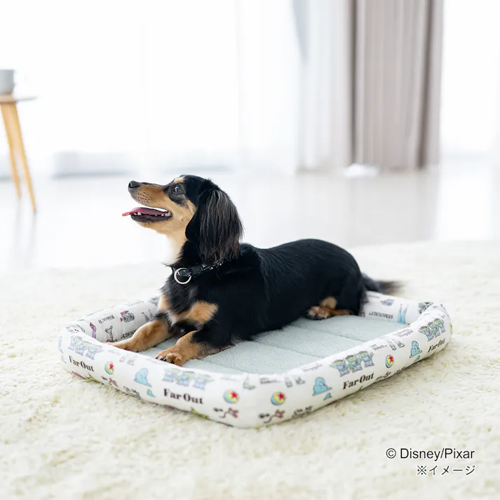 クッションマット Mサイズ トイ・ストーリー